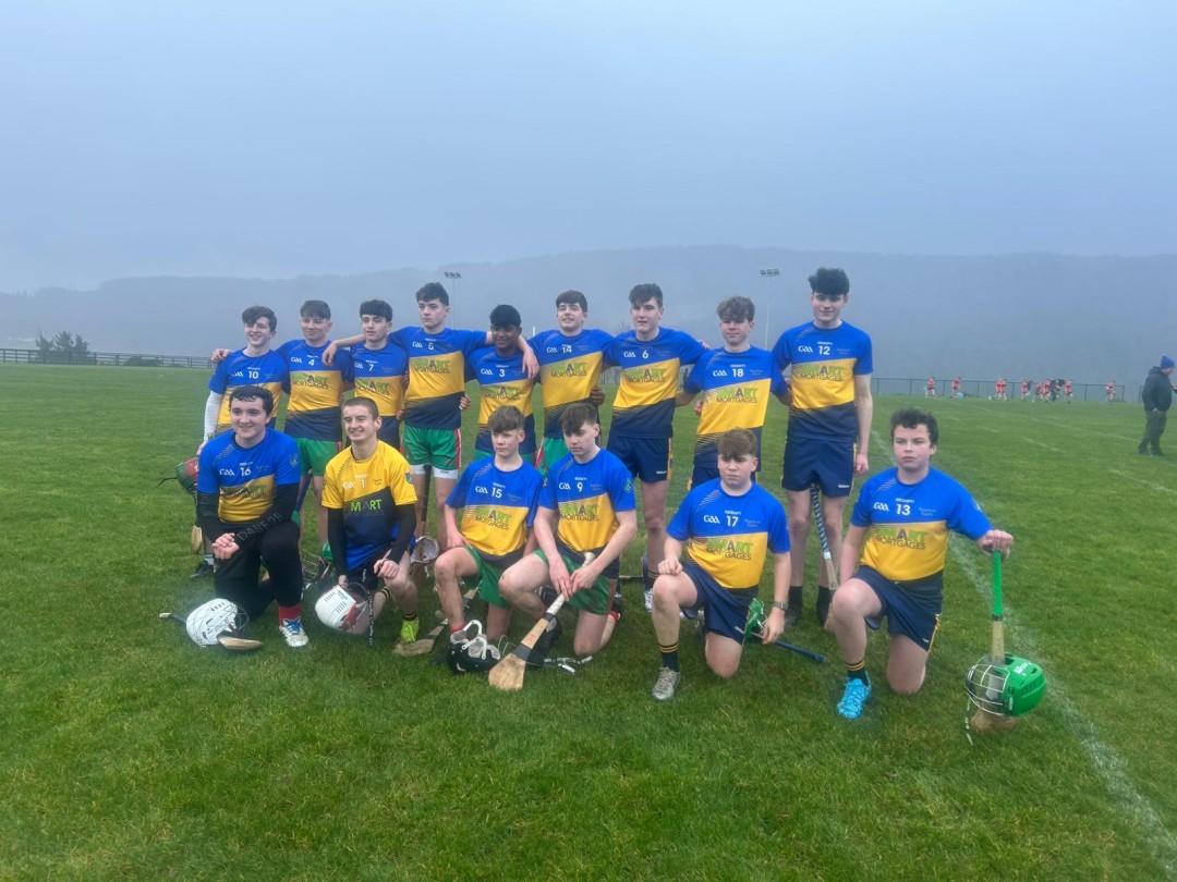 Stars of Erin GAA tweet media