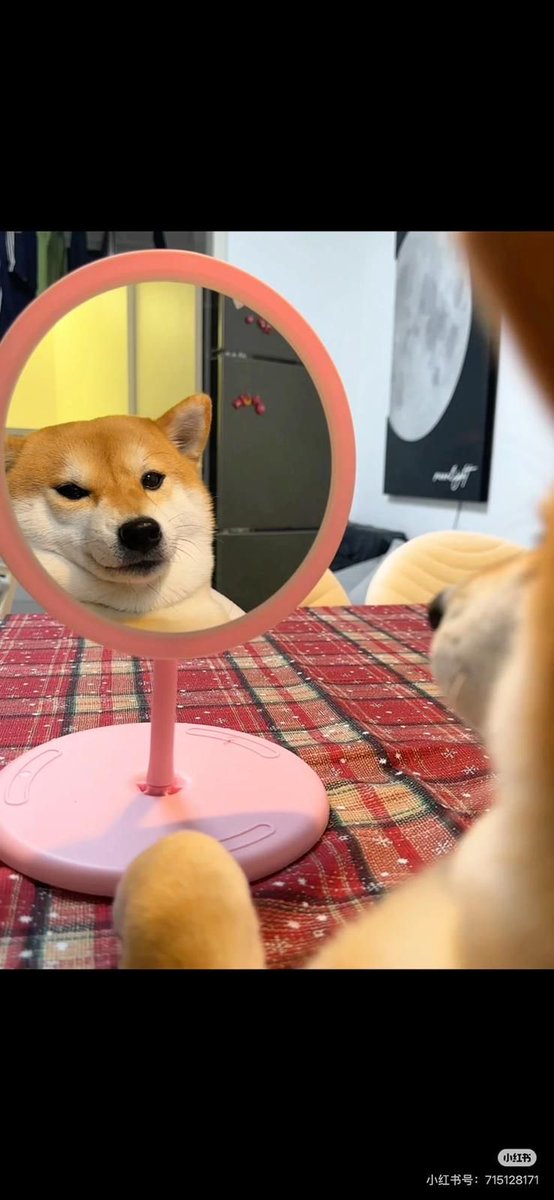 一抹微笑. tweet media