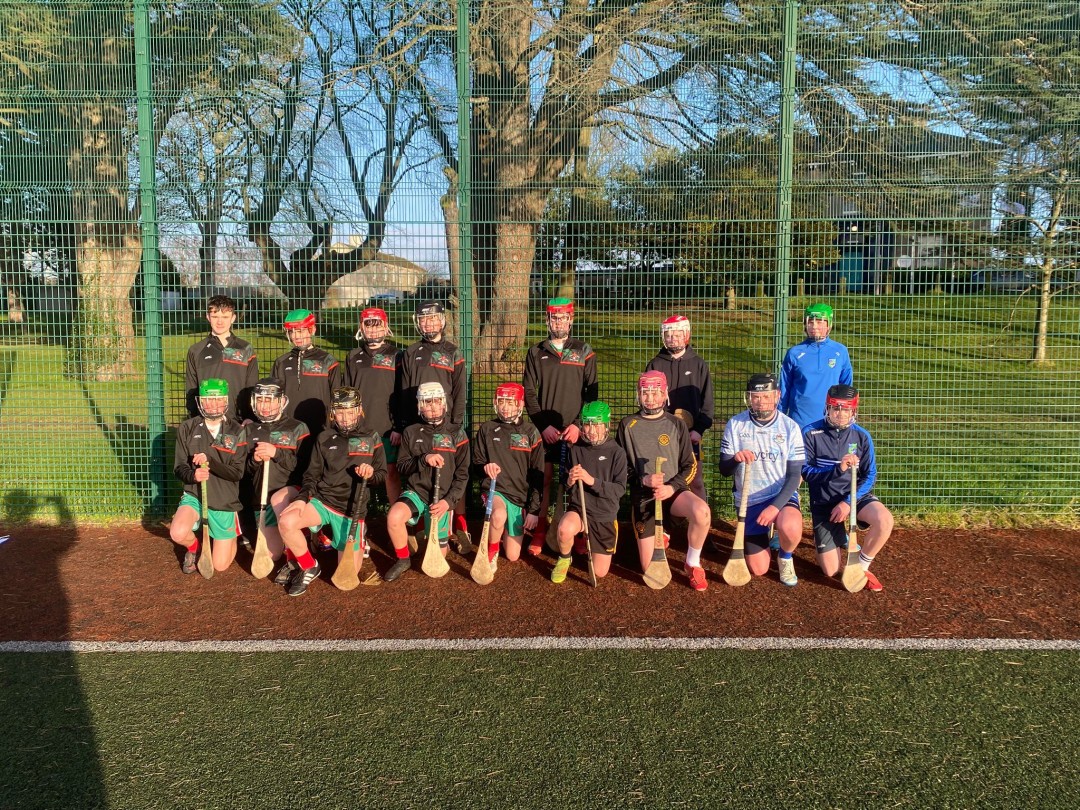 Stars of Erin GAA tweet media