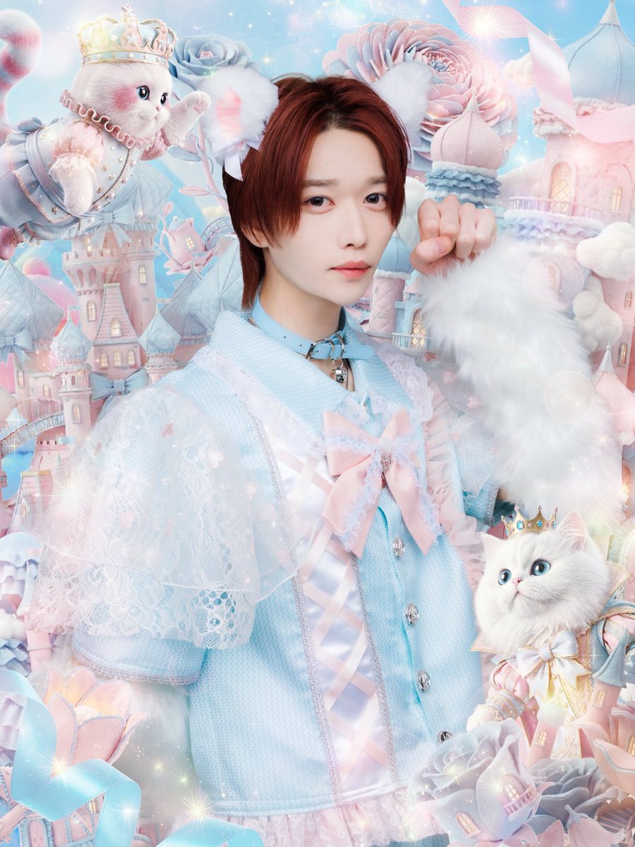 Post by りょうた on X: 🐱🐱🐱