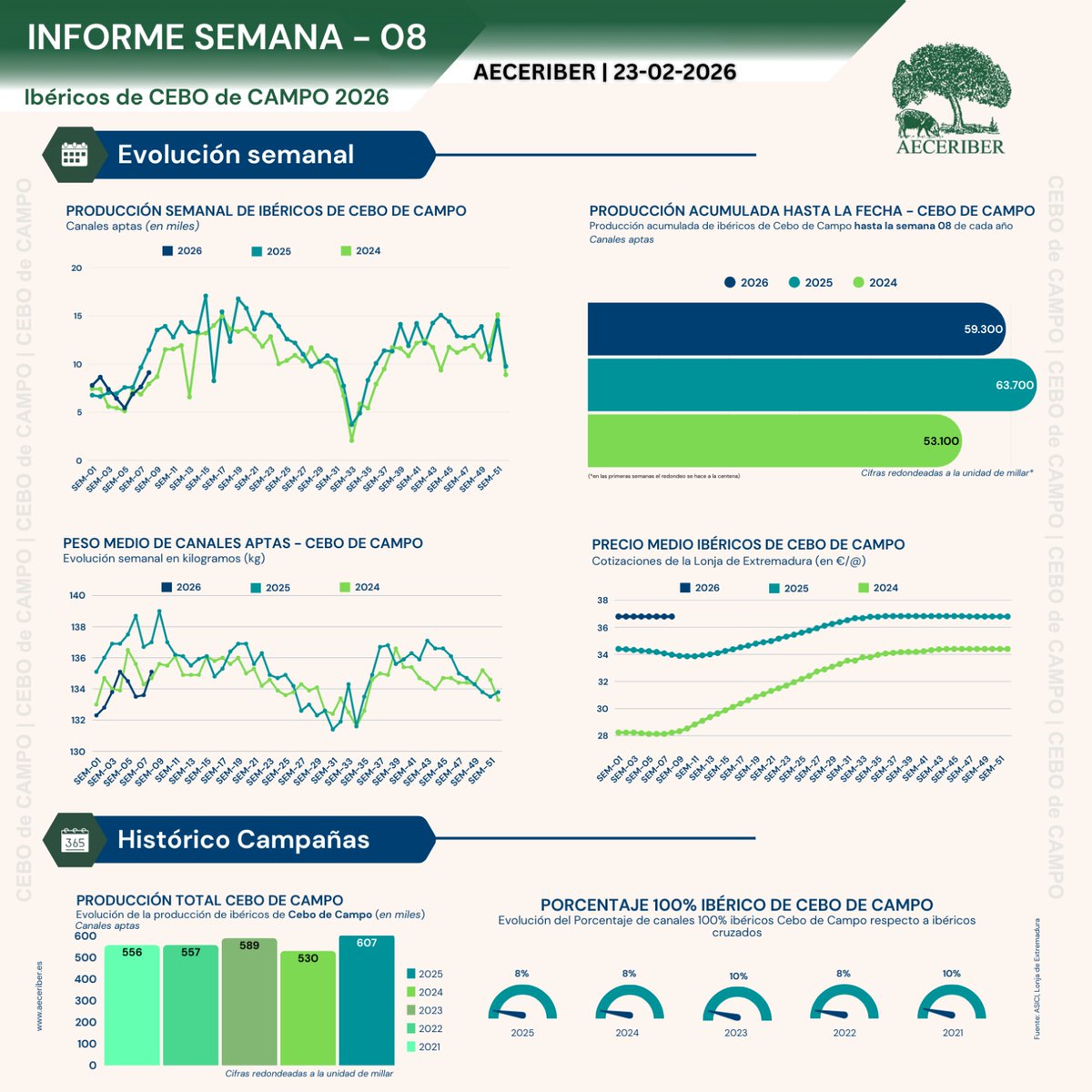 AECERIBER tweet media