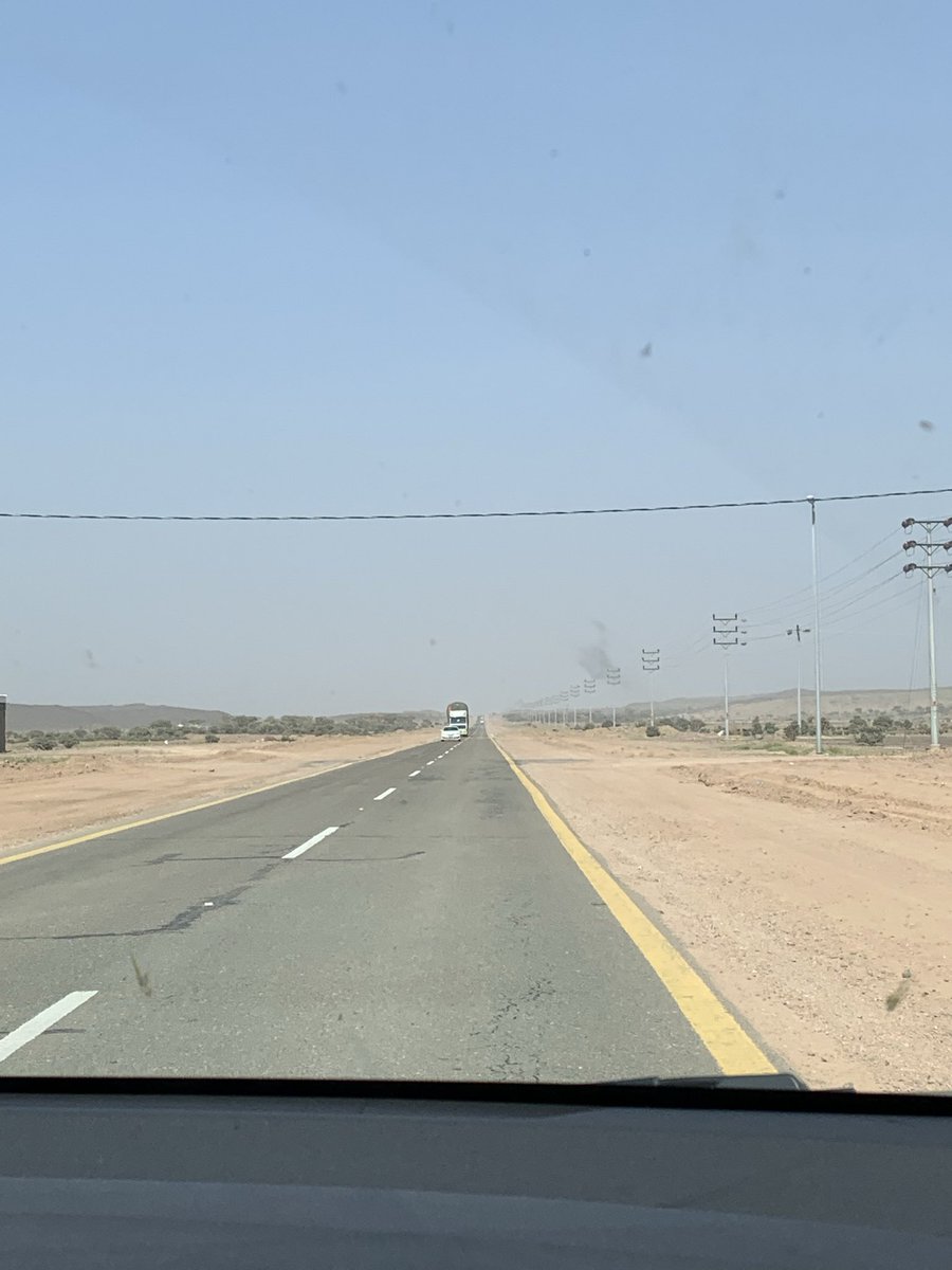 Stallion Battalion tweet media