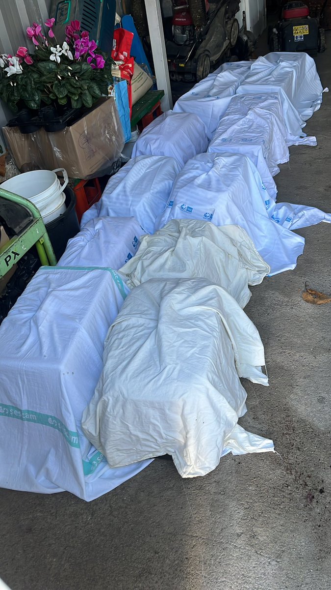 CER ALTA INTENSIDAD BASE AÉREA 
Nos vamos con Fundación Mascoteros a esterilizar a toda colonia de la base aérea.
Contamos con el quirófano móvil de la Fundación Mascoteros para poder esterilizarlos a todos en el momento, recuperación y suelta.
Hemos cogido a todos,total 17 gatos