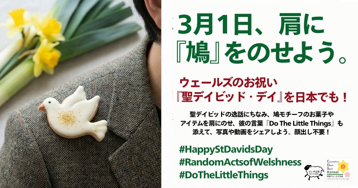 boredakikaku's tweet photo. BCIJや関西ウェールズ協会も告知中ですが、3/1は聖デイビッド・デイ🏴 説教を助けた鳩の伝説にちなみ、肩に鳩モチーフのお菓子などをのせてポストして、お祝いしてください!ぜひ一緒に、日本からウェールズへ愛を届けましょう🥰 #HappyStDavidsDay #RandomActsofWelshness #DoTheLittleThings https://t.co/3q6ADItvGh
