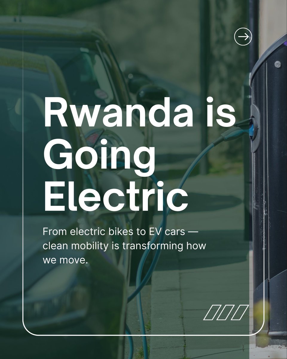 The Green Protector tweet media