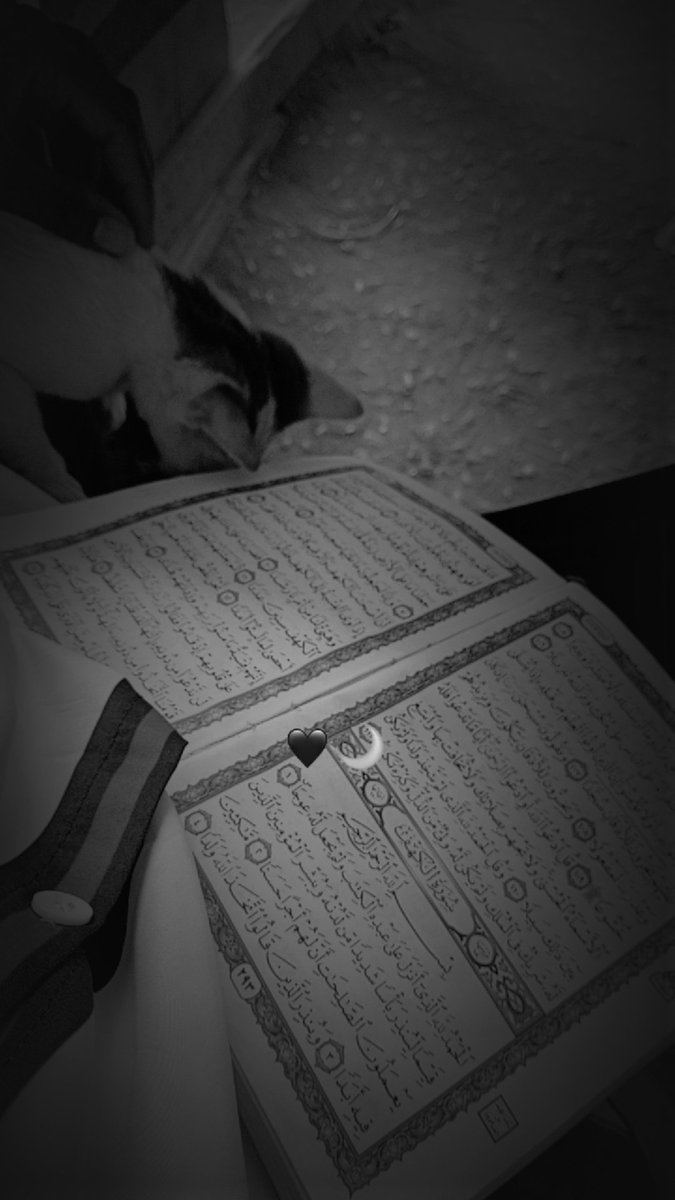 Ismahudeen4648's tweet photo. Ya Allah, 
Guide my heart, guard my tongue, and bless my efforts in this Ramadan. Accept my fast and make me among those You love. 
Ameen🤲🏽
#ramadanday6 https://t.co/C3gn8f1a66