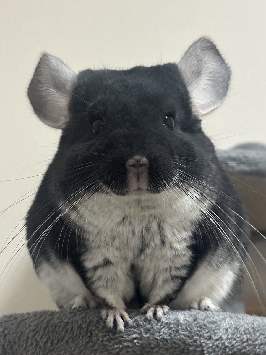 ことほ (@KoToHo0627) / Posts / X