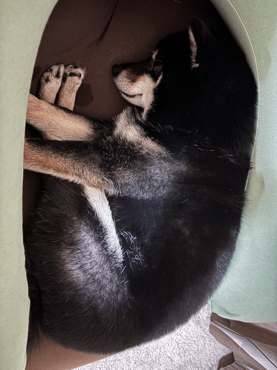 お母さんのお腹の中にいるみたい😆