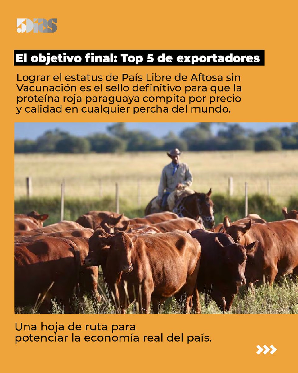 5DiasPy's tweet photo. Paraguay inicia formalmente su transición hacia el estatus de país libre de fiebre aftosa sin vacunación 🐄🇵🇾
En la primera reunión del Comité de Transición, el SENACSA presentó la hoja de ruta para 2026, analizando el contexto regional y las proyecciones de inmunización para sostener la competitividad de la carne paraguaya en el mundo 📈🥩
🔗 https://t.co/ePzSPKtNui
#Ganadería #SENACSA #FiebreAftosa #Exportación #5Días