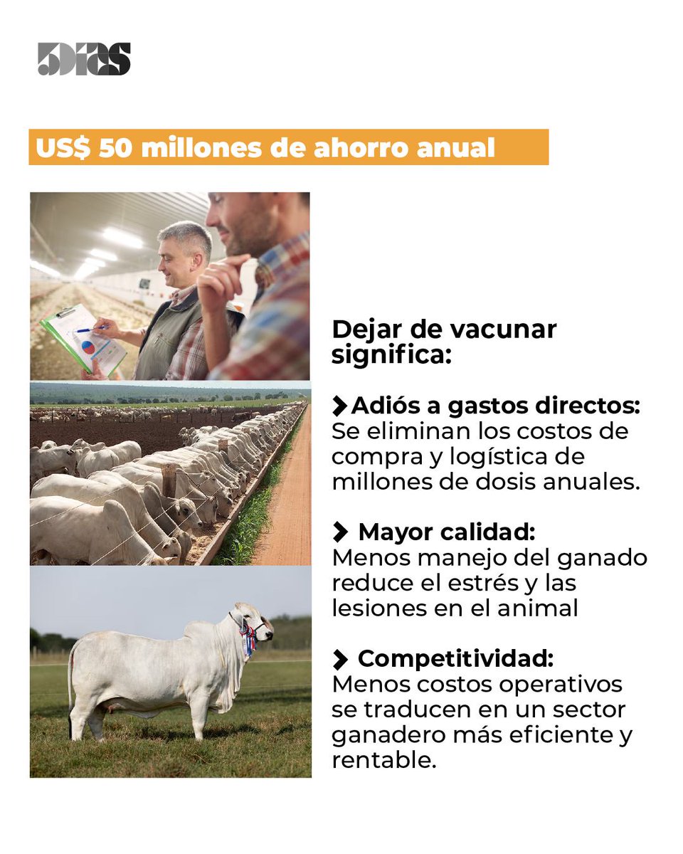 5DiasPy's tweet photo. Paraguay inicia formalmente su transición hacia el estatus de país libre de fiebre aftosa sin vacunación 🐄🇵🇾
En la primera reunión del Comité de Transición, el SENACSA presentó la hoja de ruta para 2026, analizando el contexto regional y las proyecciones de inmunización para sostener la competitividad de la carne paraguaya en el mundo 📈🥩
🔗 https://t.co/ePzSPKtNui
#Ganadería #SENACSA #FiebreAftosa #Exportación #5Días