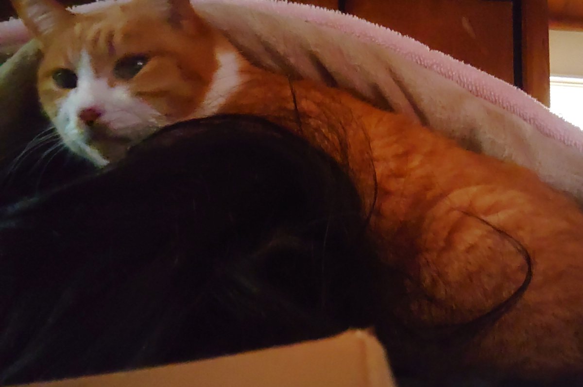 砂粉 (@s7co7) / Posts / X