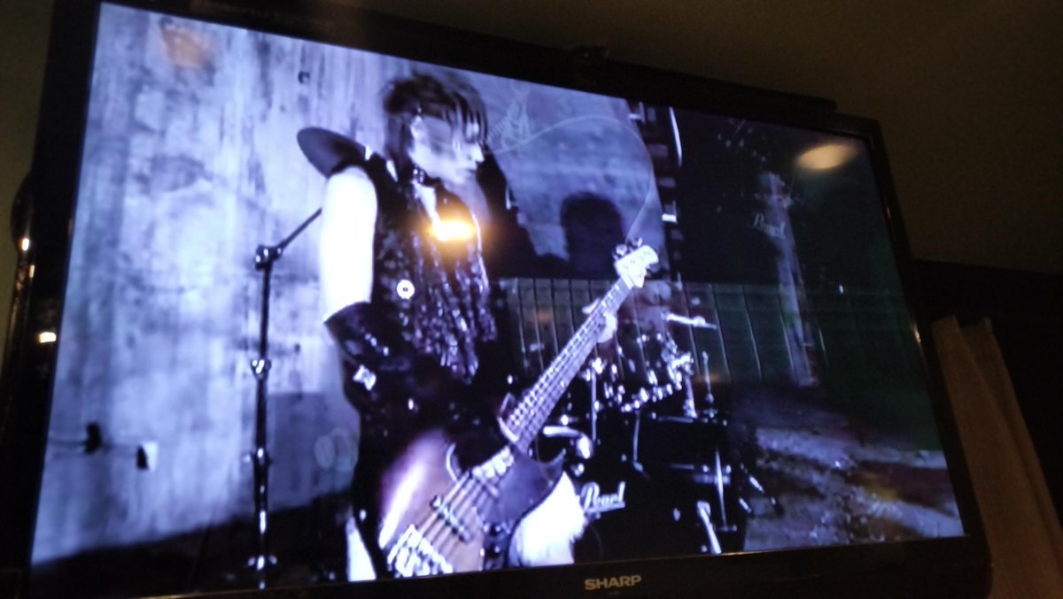 ぼくの青春を彩ったヴィジュアル系バンドたち4選です、知ってる方