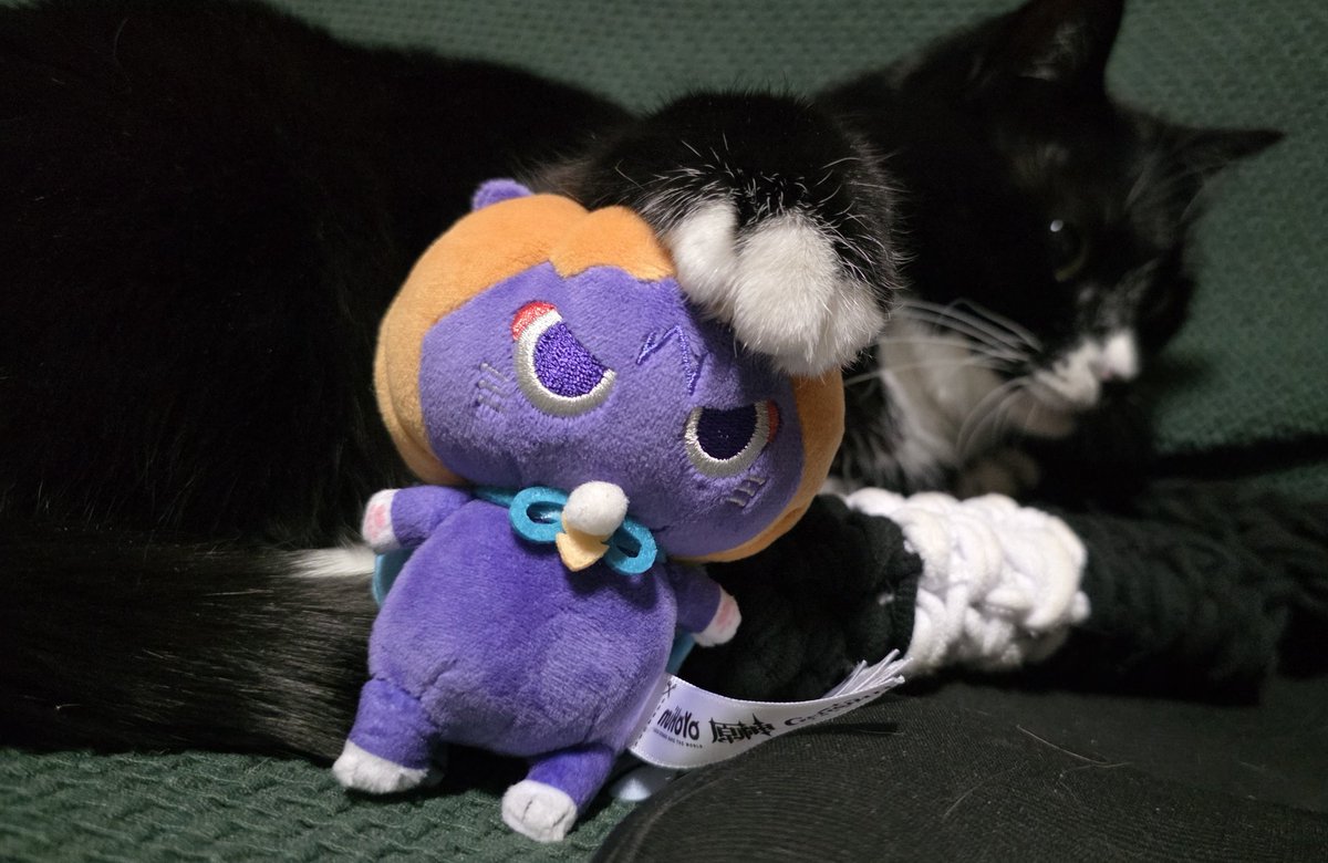 생각보다 작고 더 골때리게 생김ㅜㅜ🧡