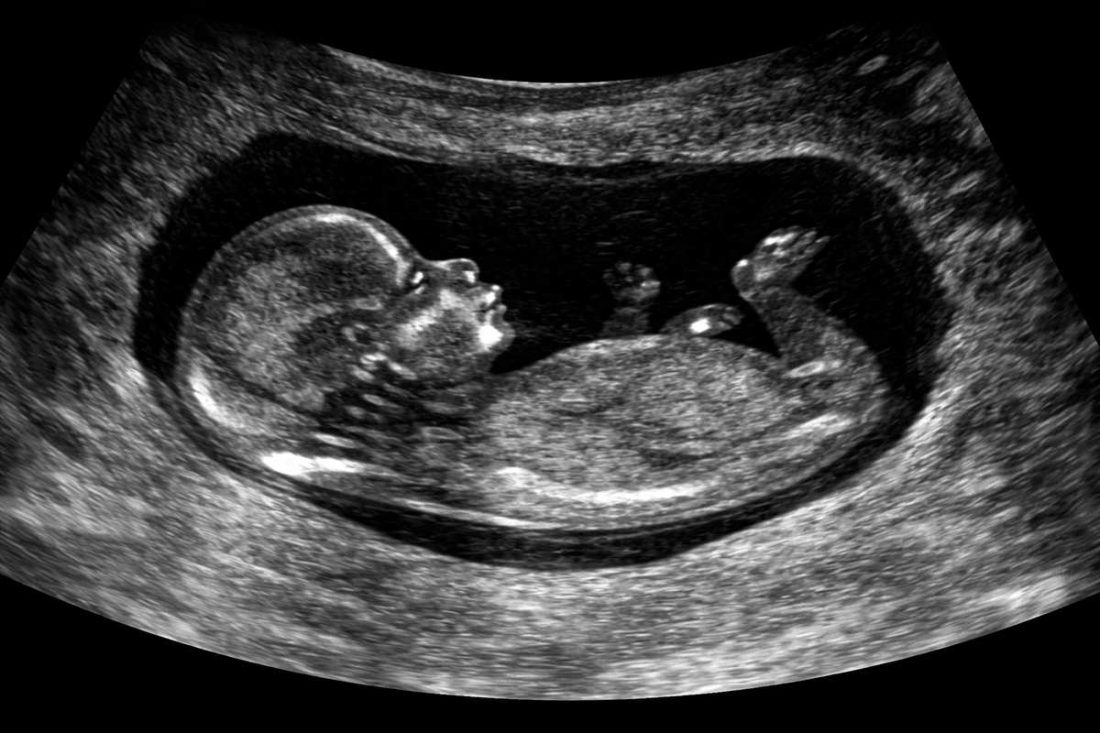 P Familia y Vida tweet media