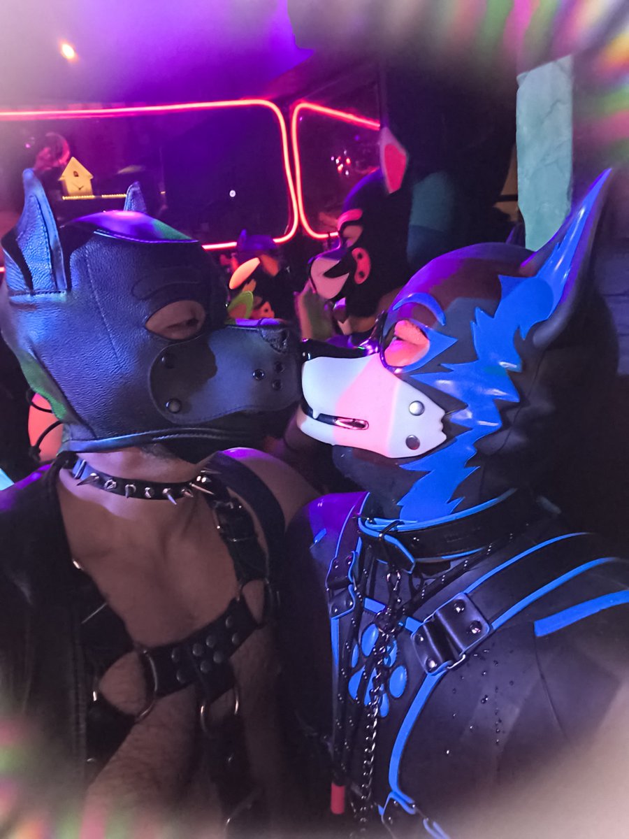 ゆきお tweet media