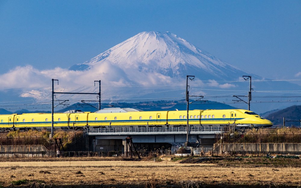 モンセルバン tweet media