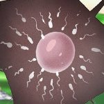 ᴮᴼᴼᴷᵂʸᴿᴹˢ tweet media