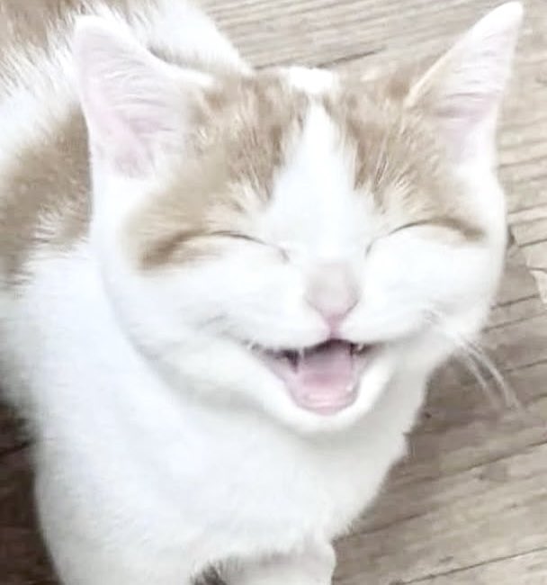 🤏🏻