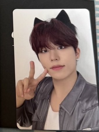 🐶🐯🐨 tweet media