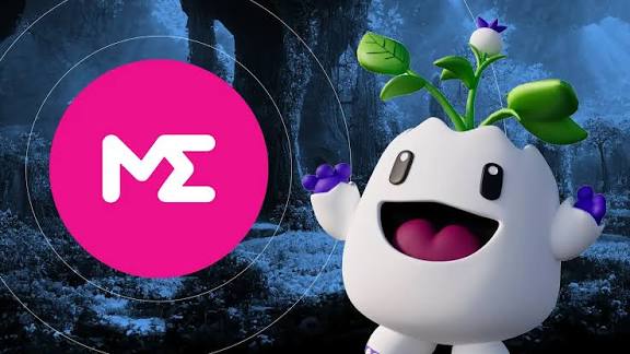 Kimi Boy tweet media