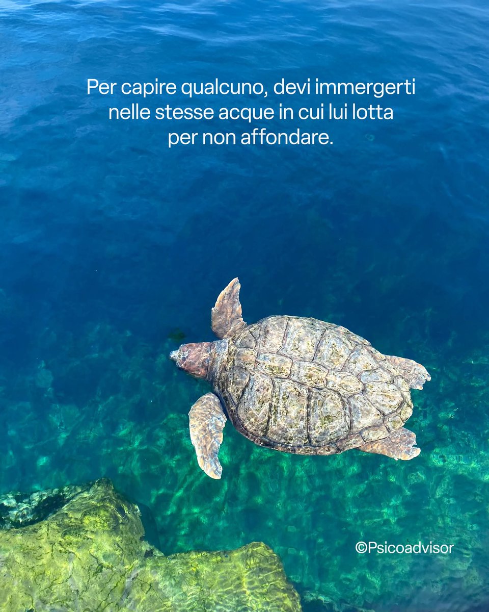 AngeloSab82's tweet photo. Per capire qualcuno,
devi immergerti nelle stesse acque in cui lotta per non affondare!
#CrescitaPersonale
#PsicoAdvisor https://t.co/hJvSz17bPZ