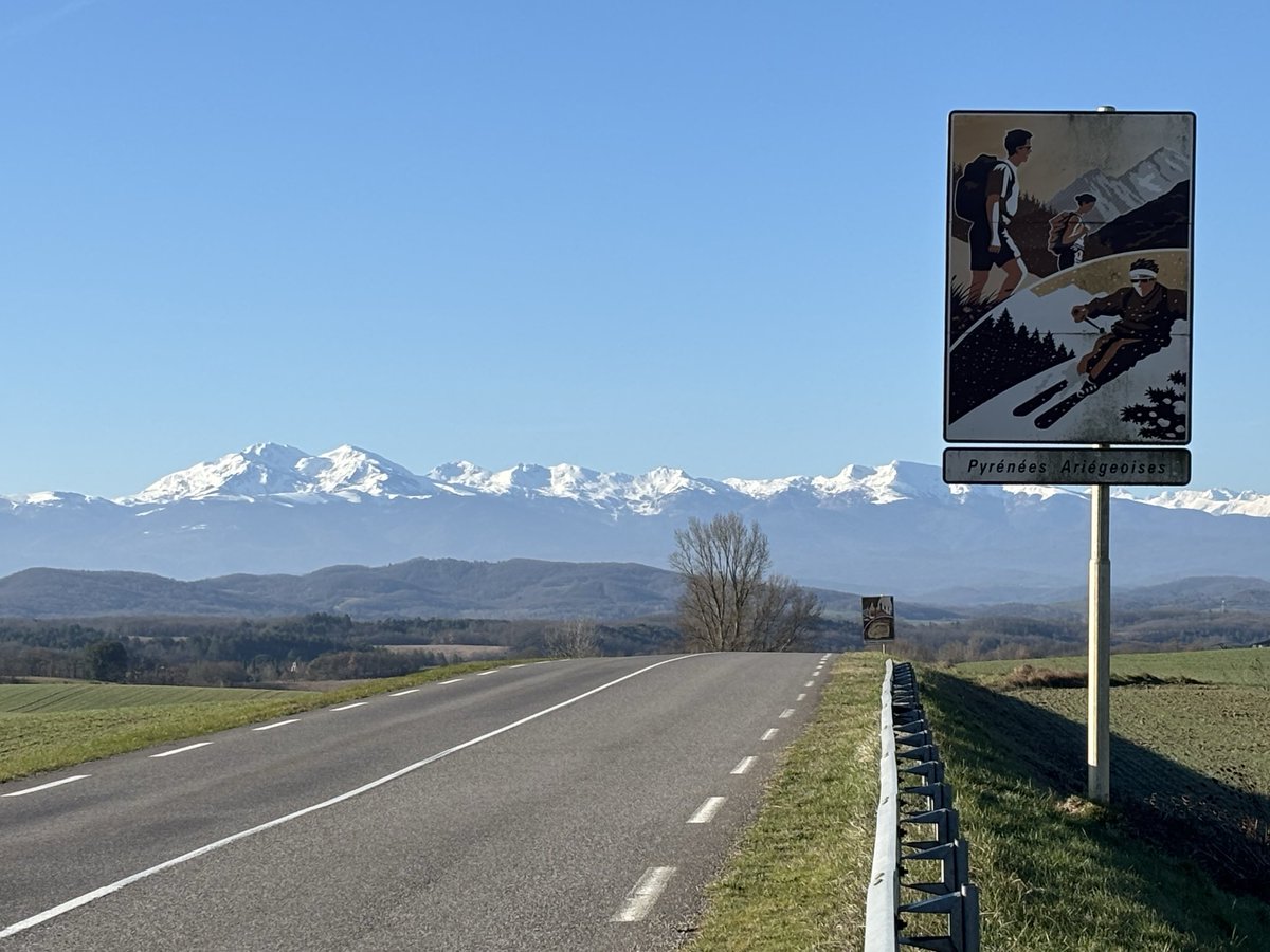 Samantha Rose Hill tweet media