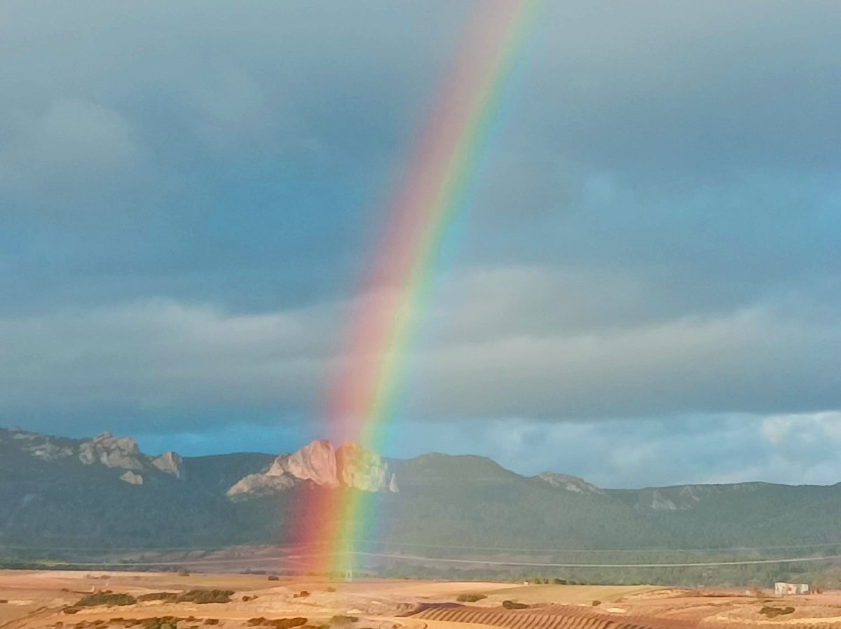 BodegasTaron tweet media