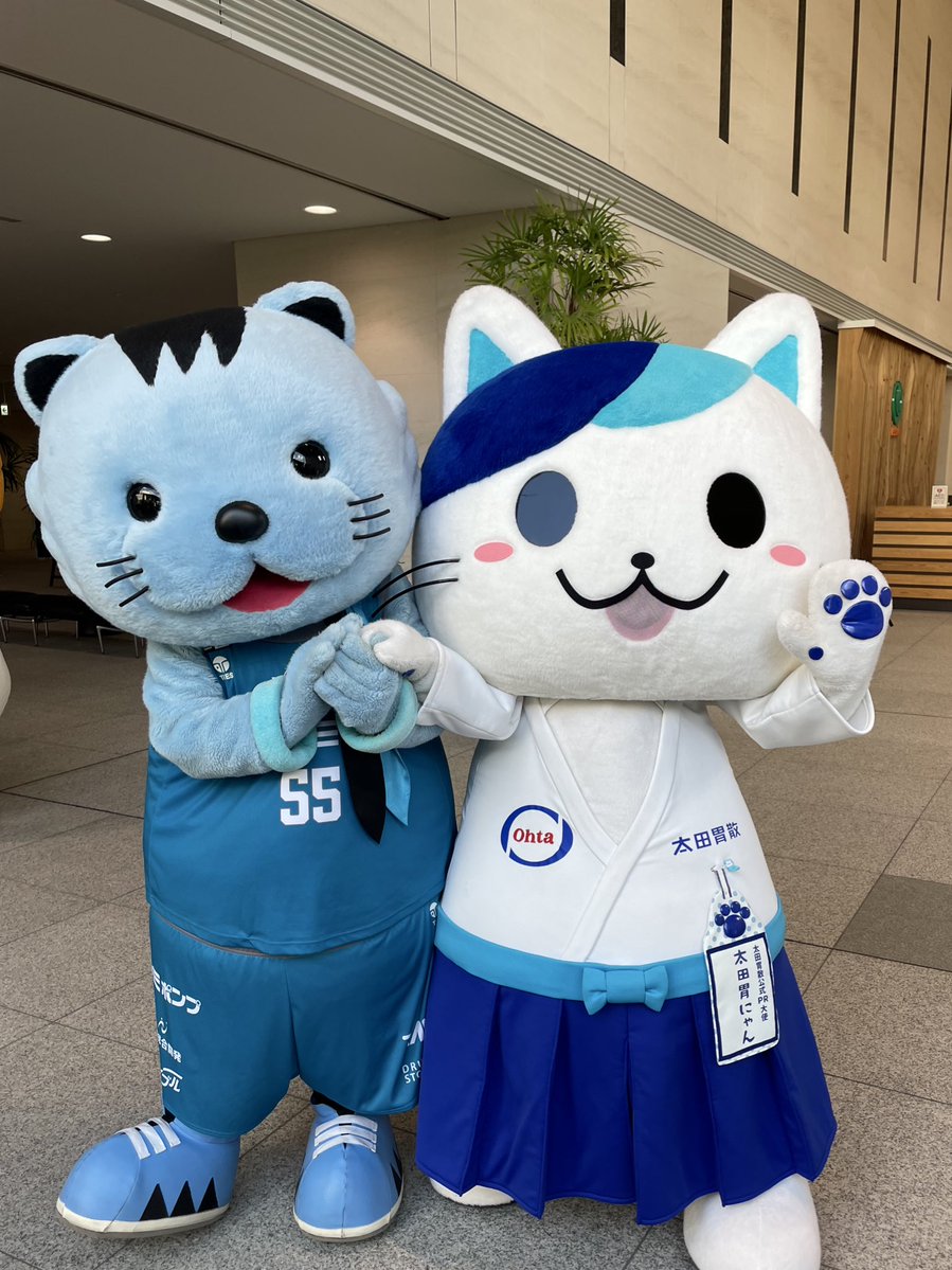 チームブルーな #太田胃にゃん 🐱💙🩵 @ohtainyan #猫の手で猫の日を