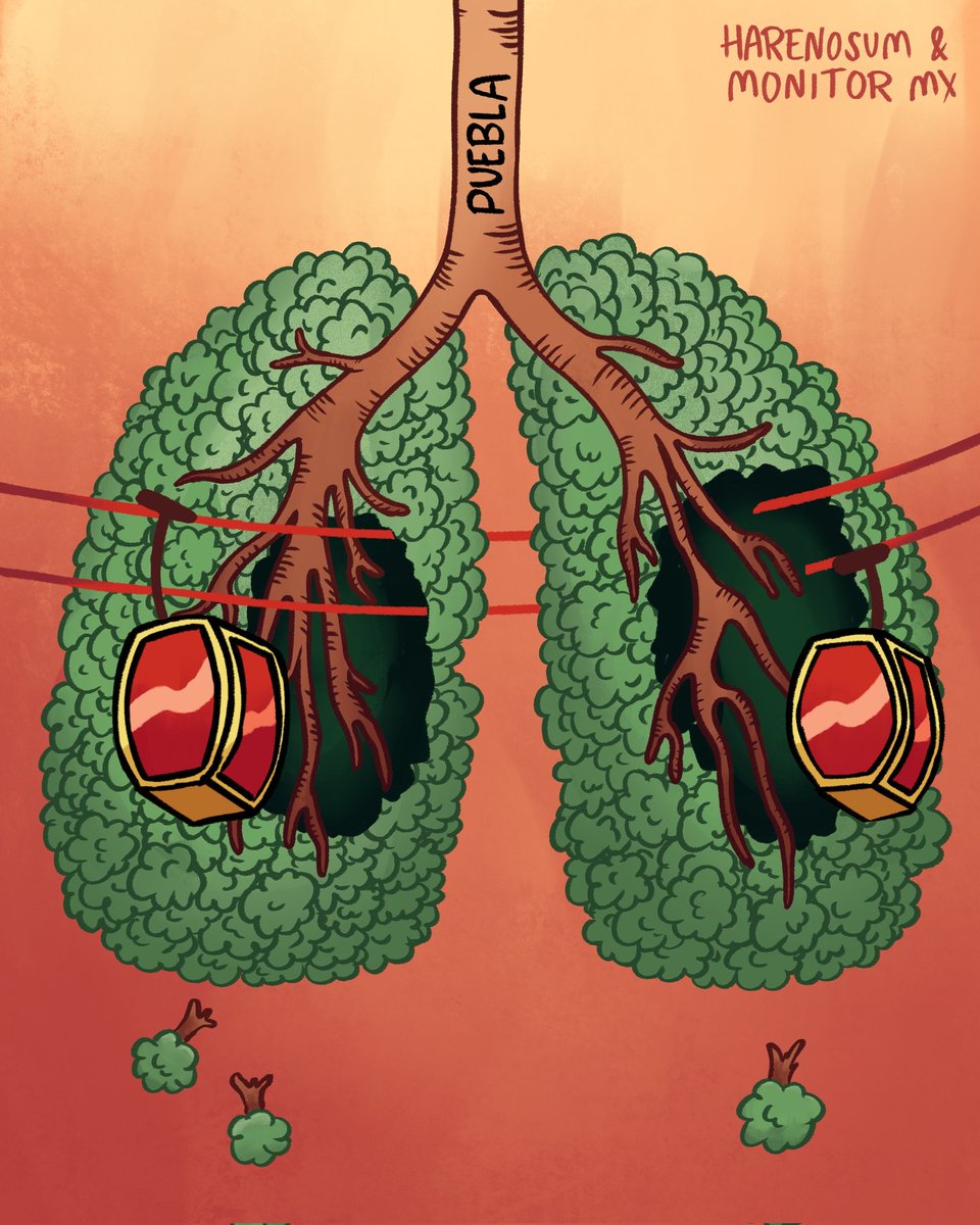 Monitormx tweet media
