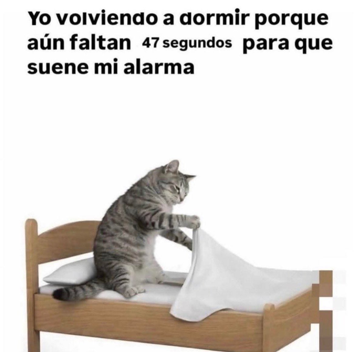 M O T I V A N D O T E (@m0tivand0te) on Twitter photo 