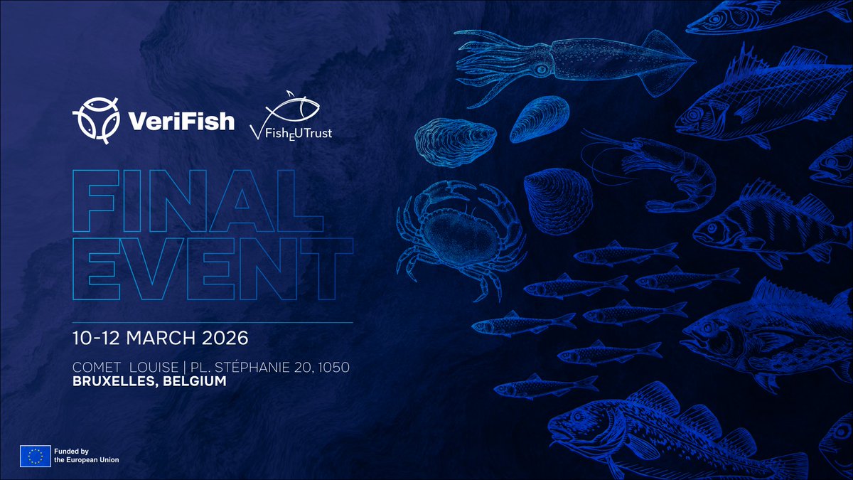 VrFsh_project tweet media