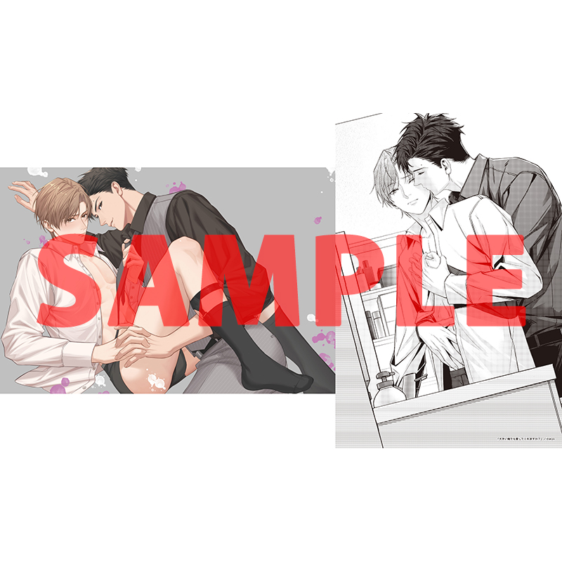 とらのあな女性向け担当（公式） tweet media