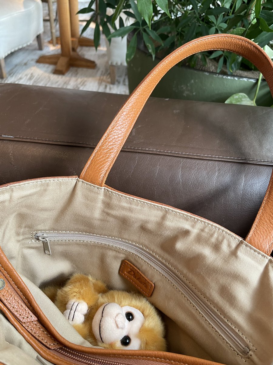 美味しいもの食べてきた🍓

お店がオシャレすぎてバッグから出てこなかったパン吉🐒

#キュート販売 #ZOOCOLLECTION 
#ニホンザル #ぬい活 #パン吉