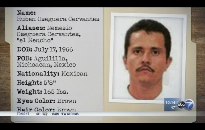 Netflix producers immediately they hear about El Mencho`s death 😩🙂‍↔️😂