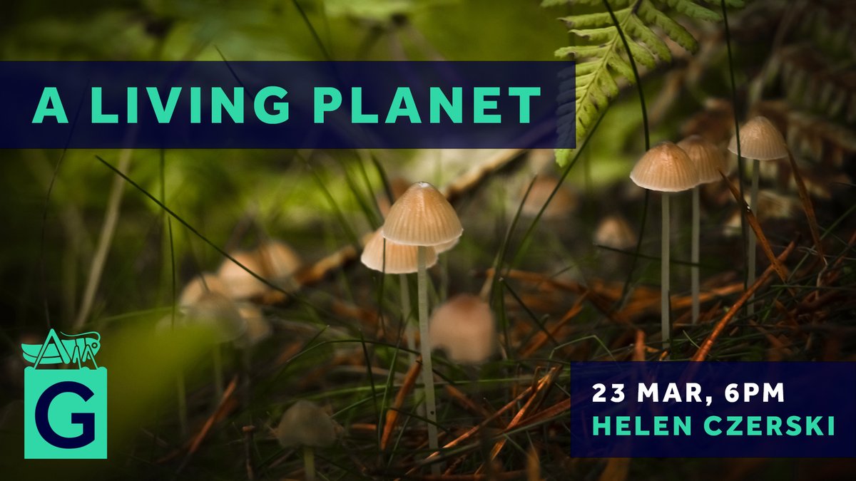 Gresham College tweet media