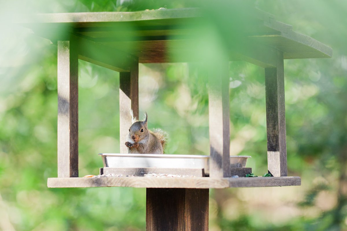 オリジナリティーってなんだろう。エモいってなんだろうって、ずっと温泉休憩所のハンモックに揺られながらぼーっと考えてた。
まだ後、4時間運転や🐿️