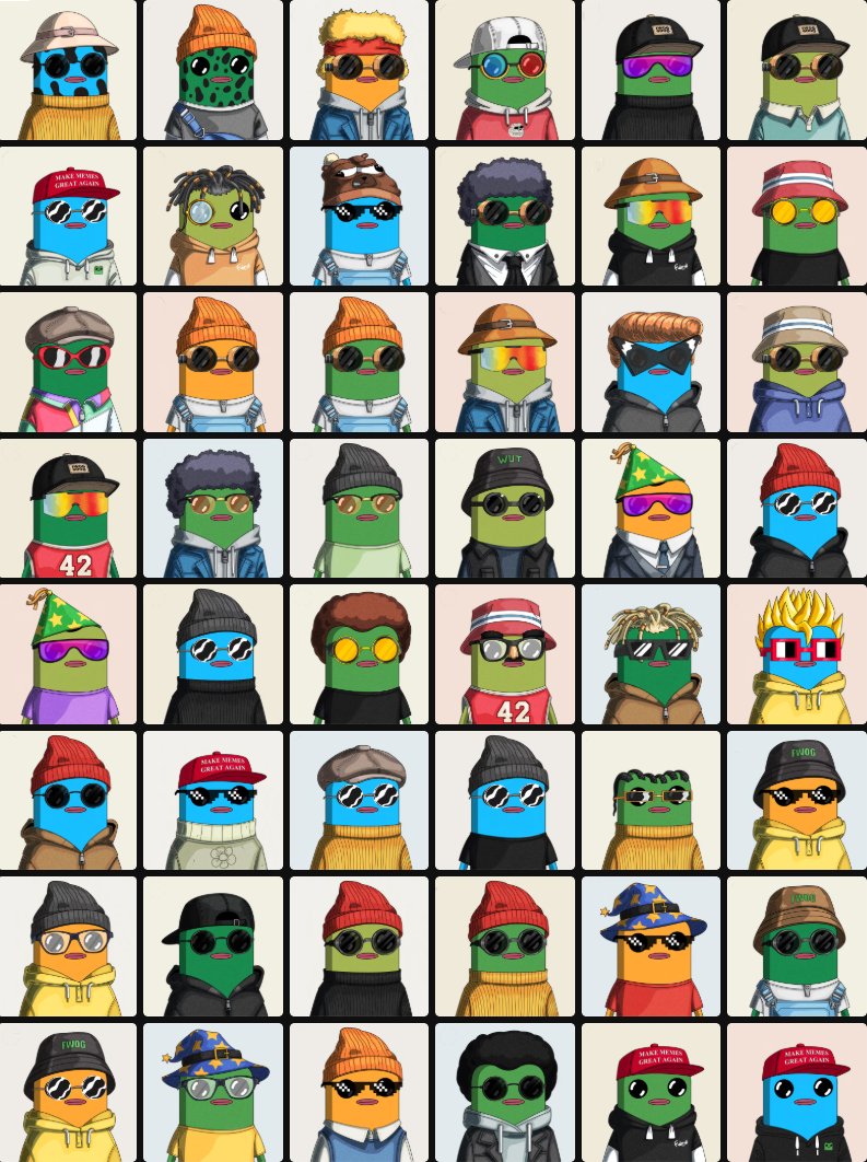 United Fwog Organization tweet media