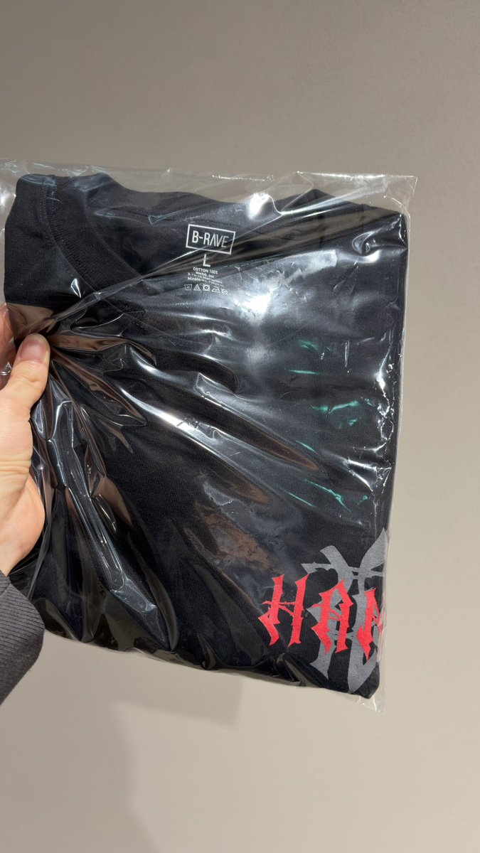 ずし (@zushi_kaze) / Posts / X