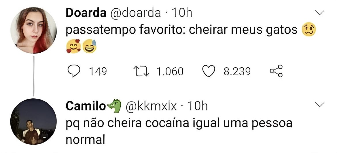 Pérolas do tt tweet media