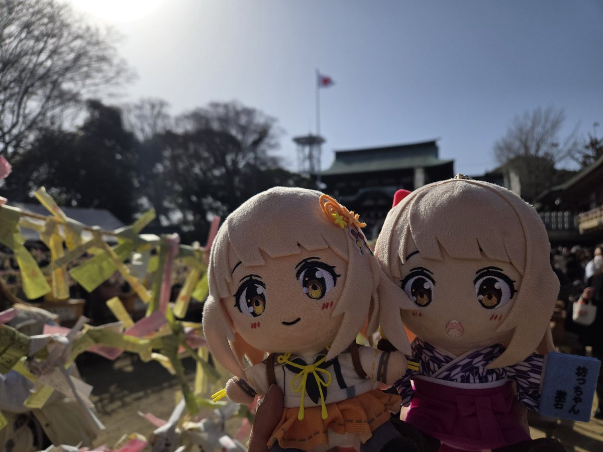 道後泉海ちゃん