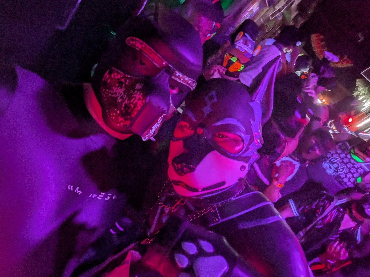 P_F_200's tweet photo. PUPPYMUZZLE （@PupMuzzle）
こっそり参加してました！！！

楽しかった〜❤❤

ムキムキのワンちゃんが沢山いて、
僕も負けてられないなと思いました！！
筋トレ頑張っぞ！ https://t.co/G9KC2K7NIx