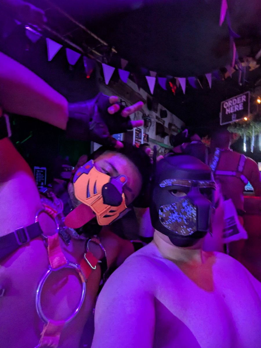 P_F_200's tweet photo. PUPPYMUZZLE （@PupMuzzle）
こっそり参加してました！！！

楽しかった〜❤❤

ムキムキのワンちゃんが沢山いて、
僕も負けてられないなと思いました！！
筋トレ頑張っぞ！ https://t.co/G9KC2K7NIx