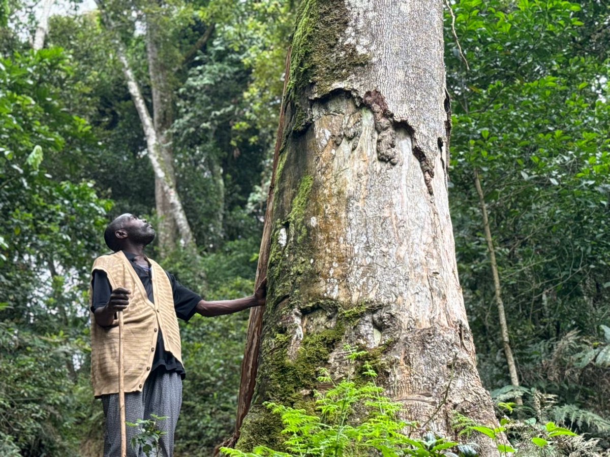 Change A Life Bwindi tweet media