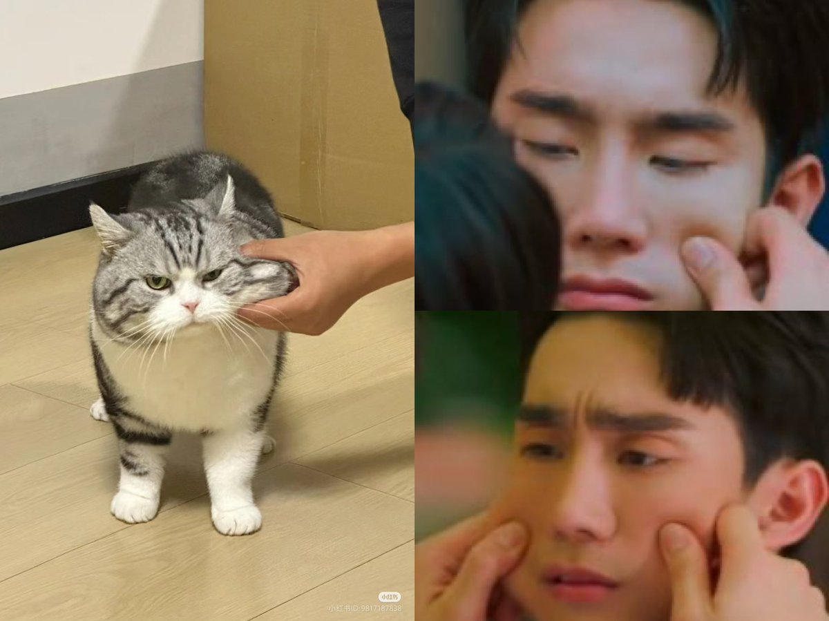 แอฟ้อดนินาาาา