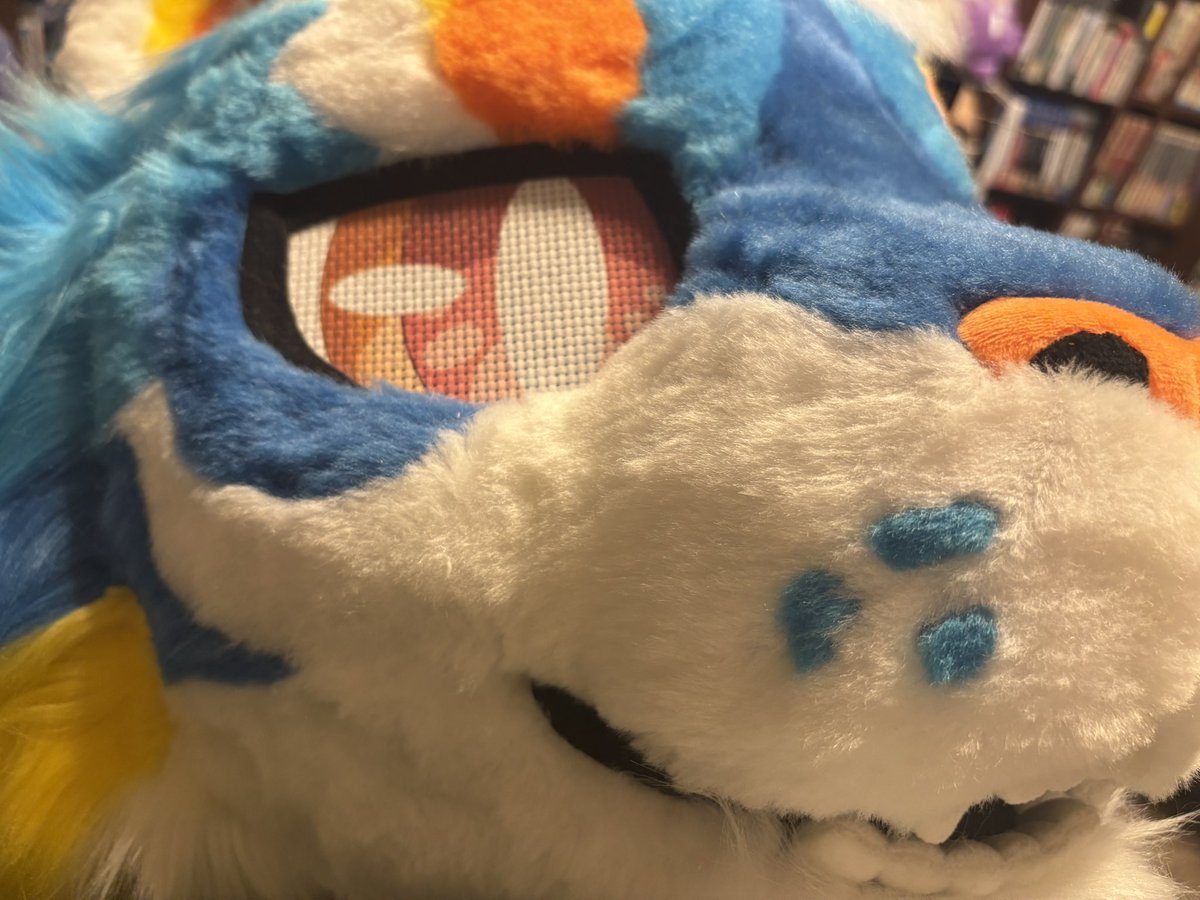 てらこった▶︎関けもL-30 tweet media