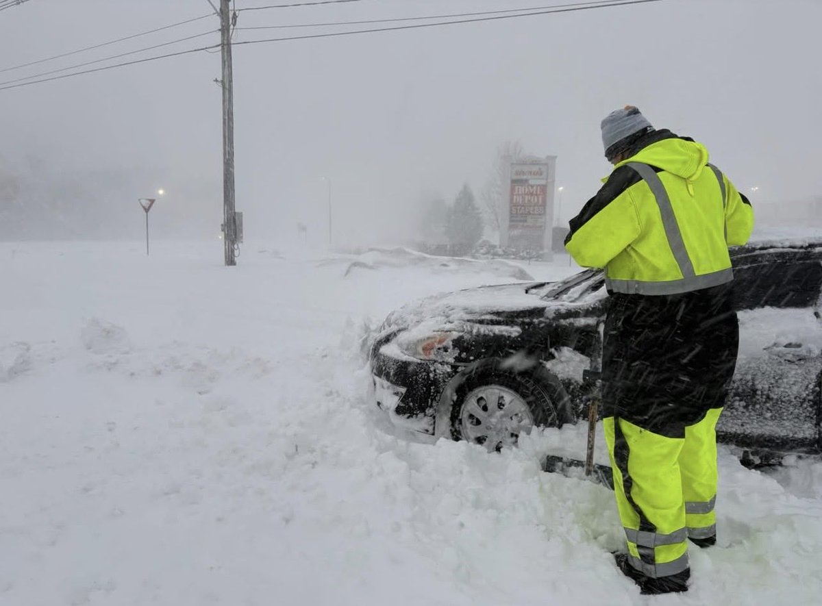 Town of Mansfield MA tweet media