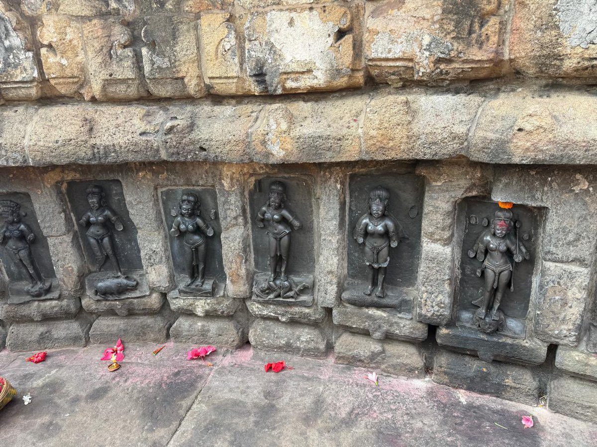 AtulyaVarso001's tweet photo. *चौसठ योगिनी मंदिर, हीरापुर, ओडिशा*
यह मंदिर स्थानीय रूप से महामाया मंदिर के नाम से प्रसिद्ध है। पूर्वोन्मुख, वृत्ताकार यह मंदिर बिना छत का है, जिसकी खोज ओडिशा राज्य संग्रहालय के केदारनाथ महापात्रा द्वारा १९५३ में की गई थी। इस मंदिर की परिधि २७.४ मीटर तथा ऊंचाई २.४ मीटर है। इसके सामने का भाग गौरीपट्ट की तरह दिखता है। यह स्थानीय खुरदरा बलुए पत्थर से बना हुआ है। इसमें योगिनी की मूर्तियाँ भिन्न-भिन्न मुद्राओं में स्थापित की गयी हैं तथा प्रत्येक अपनी विशिष्ट केश-विन्यास को प्रदर्शित करती हैं। अधिष्ठात्री देवी महामाया की प्रतिमा जो दस भुजाओं से युक्त है, सभी योगिनियों में सबसे बड़ी है। मंदिर के मध्य भाग में एक पुनार्निर्मित चंडी मंडप स्थित है, जिसमें क्लोराइट पत्थर से निर्मित चार शैव प्रतिमाएँ और चार योगिनी की मूर्तियाँ स्थापित हैं। नारी सौंदर्य को प्रदर्शित करती हुई यह प्रतिमाएँ बाहर से लाए गए क्लोराइट पत्थर से निर्मित की गई हैं। मंदिर के पार्श्व सतह के ताखों पर बलुआ पत्थर से निर्मित नव कात्यायिनी की प्रतिमाएँ स्थापित की गयी हैं। यह मंदिर लगभग ९वीं शताब्दी का है। Content Ref. ASI and Photo ref. Paulomi Shah, Ahmedabad.