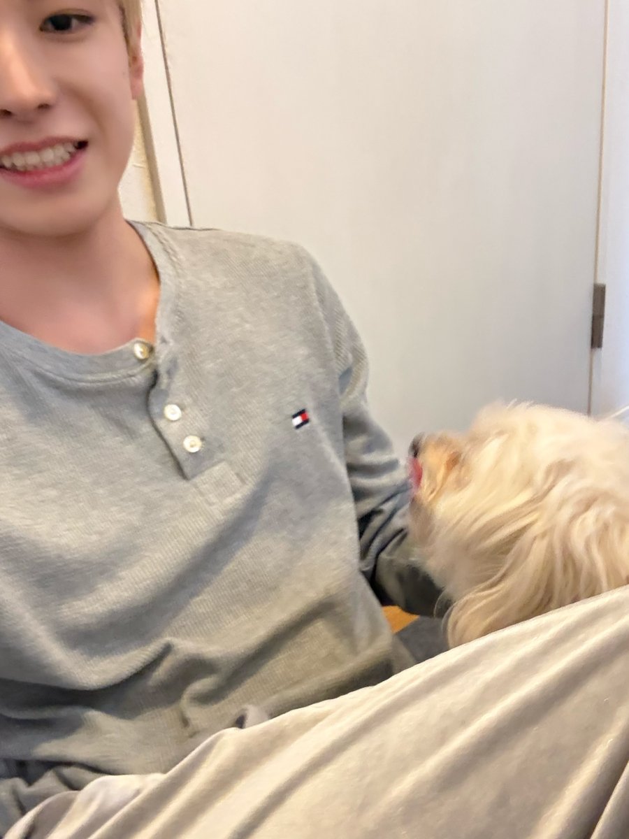 꼬마〜 tweet media