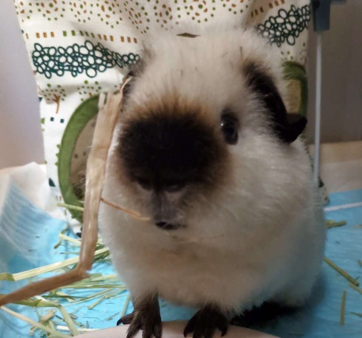 ann(ﾓﾙﾓﾙ) tweet media