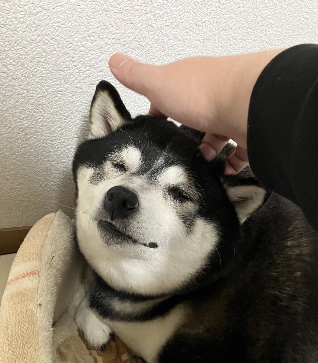 雲マンⅡ (@kumoman_of_hell) on Twitter photo 